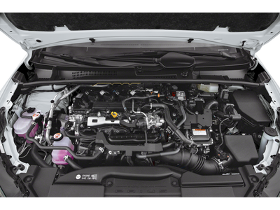 2024 Toyota Prius XLE