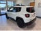 2020 Jeep Renegade Upland